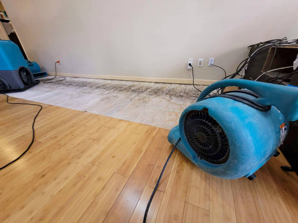 Professional Flood Damage Cleanup technician working in Mesquite, TX